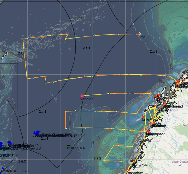 Atlantic Mackerel Survey 2025-1