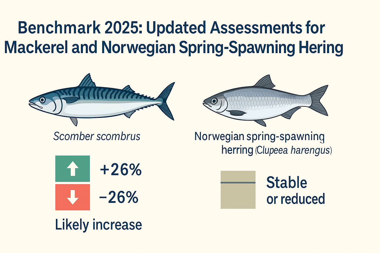 bench mark image mackerel and herring.png