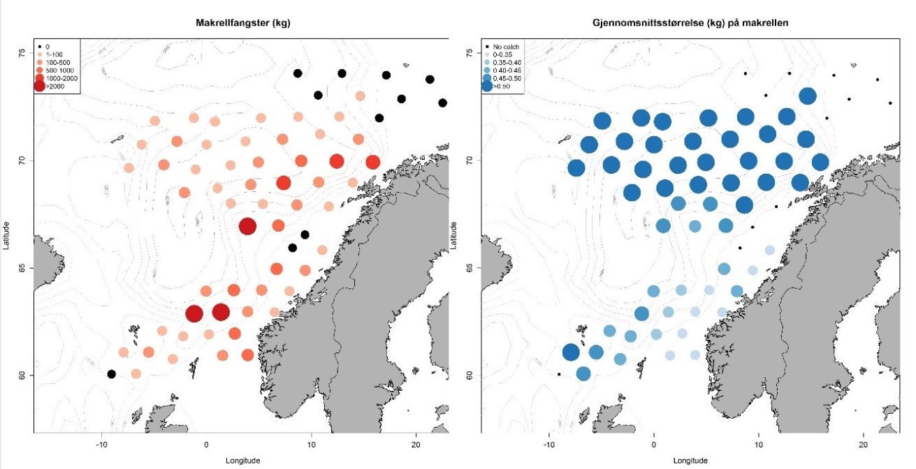 Mackerel Ecosystem Survey 2025 - Regional Status Update