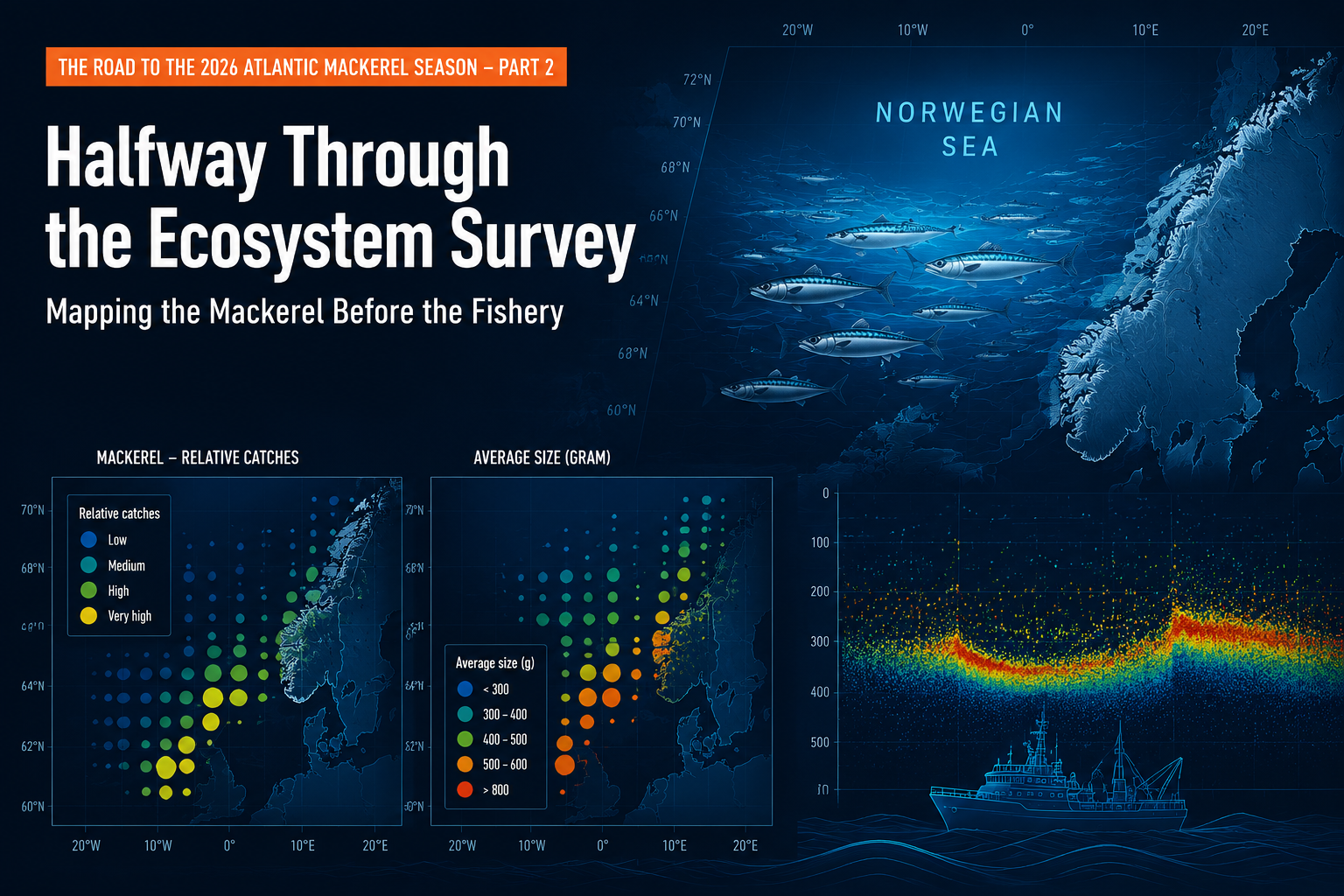 The Road to the 2026 Atlantic Mackerel Season - Part 2