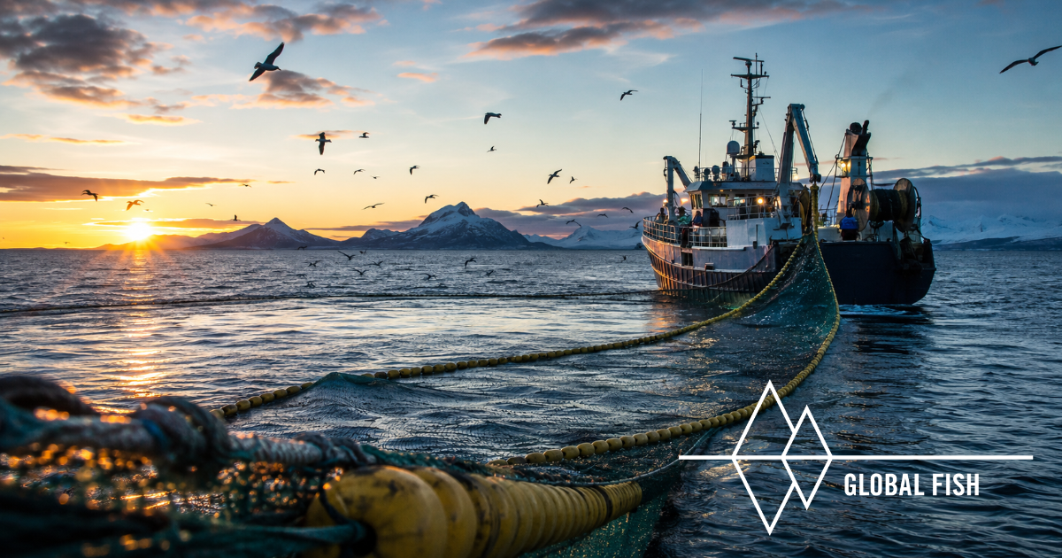 Understanding the Forces Shaping Tomorrow's Fisheries