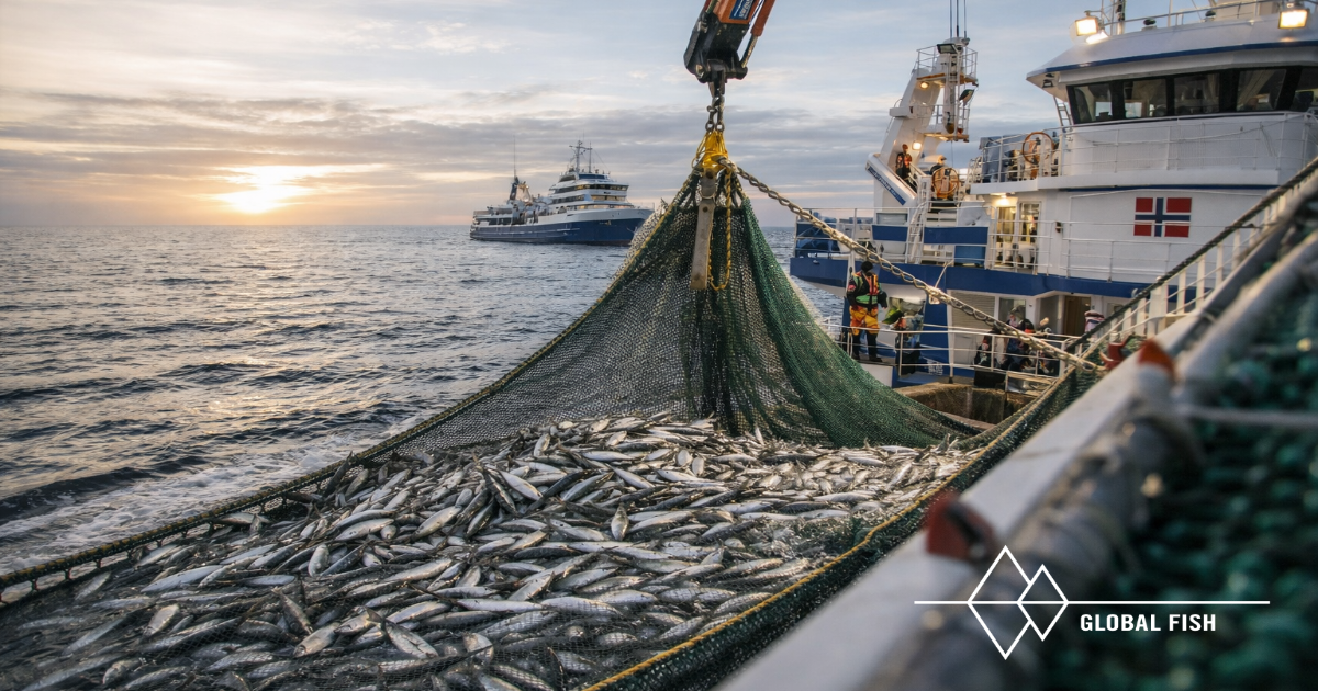 Mackerel 2026: timing matters