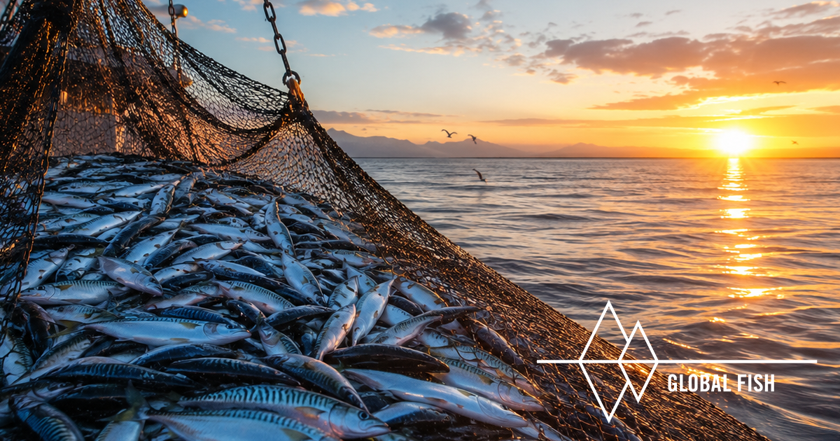 The Road to the 2026 Atlantic Mackerel Season