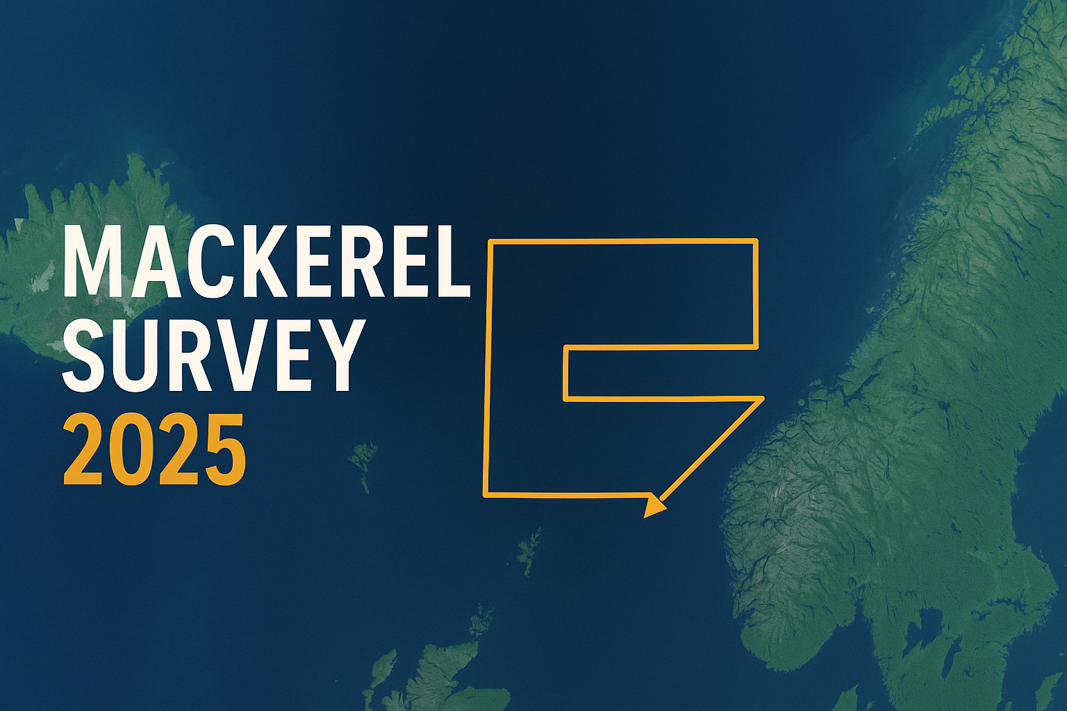 Mackerel Ecosystem Survey 2025 - Regional Status Update