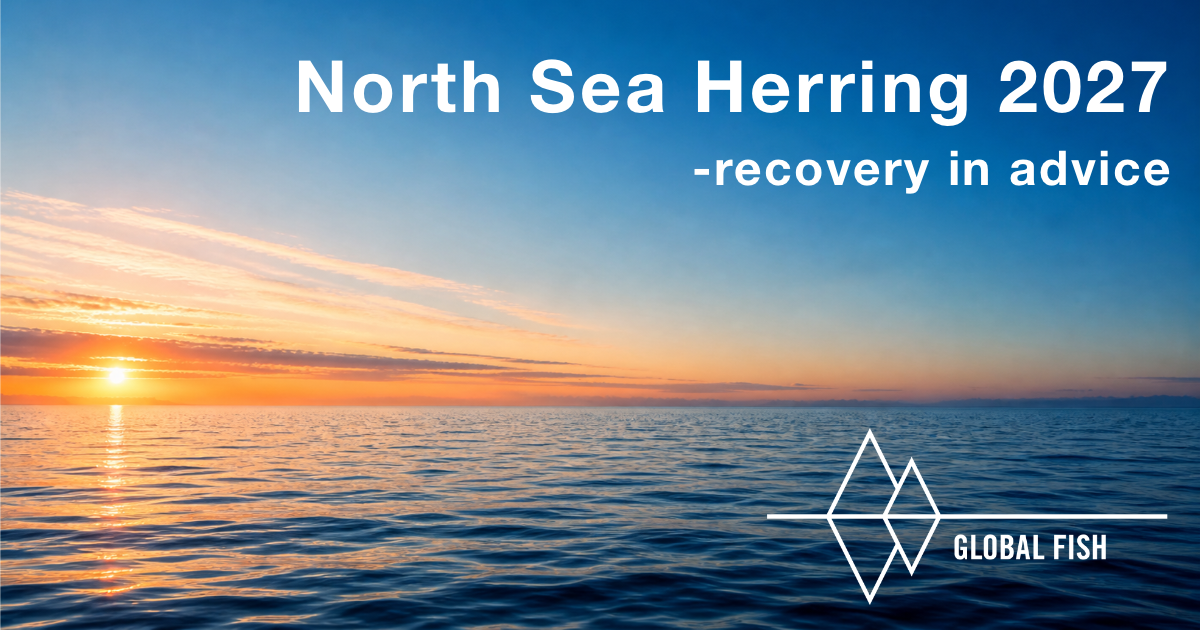 North Sea herring 2027