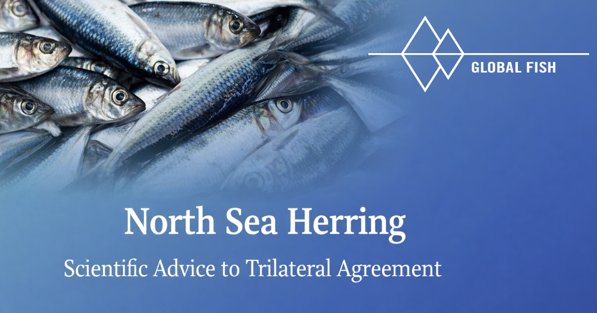 North Sea Herring: From Scientific Advice to Agreement
